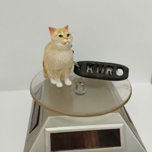 Figuras de Mascotas (personalizada)